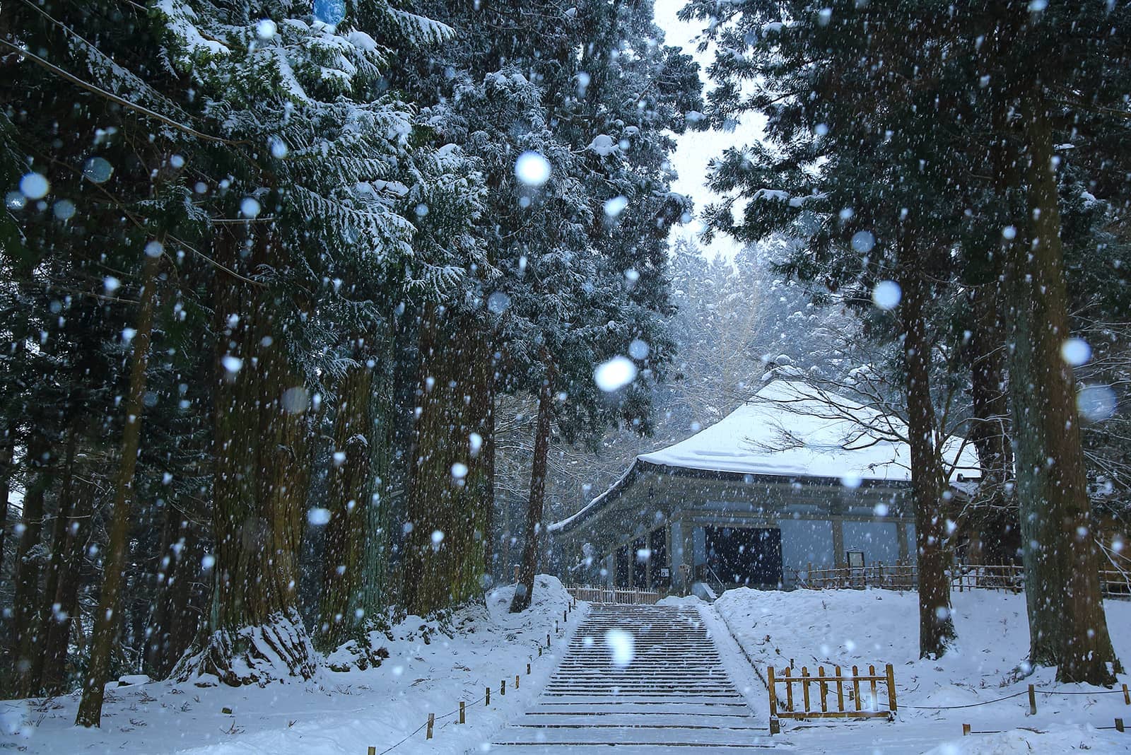 (photo) Chuson-ji Temple 1