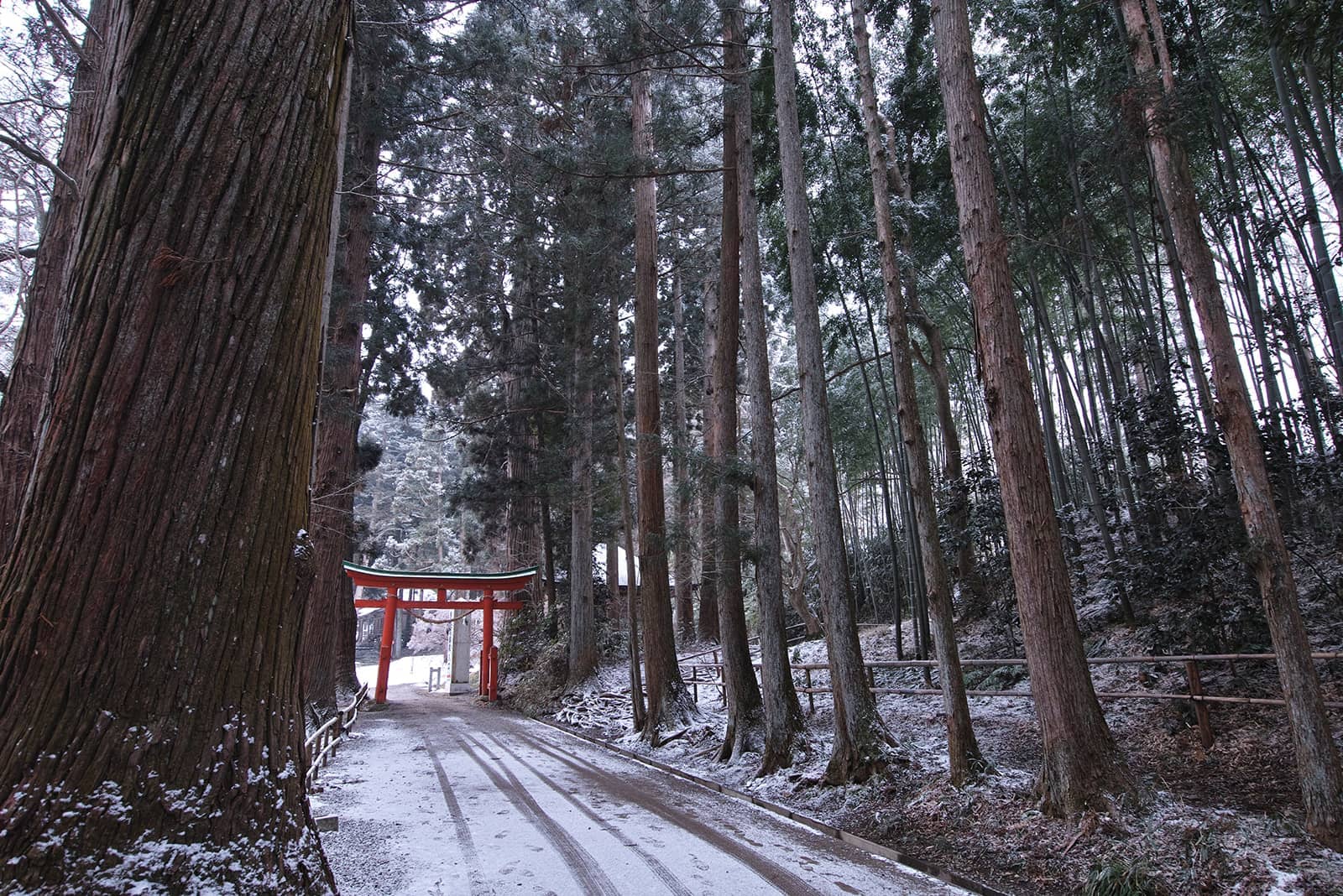 (photo) Chuson-ji Temple 2