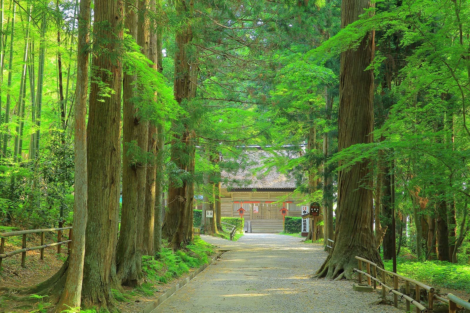 (photo) Chuson-ji Temple 4