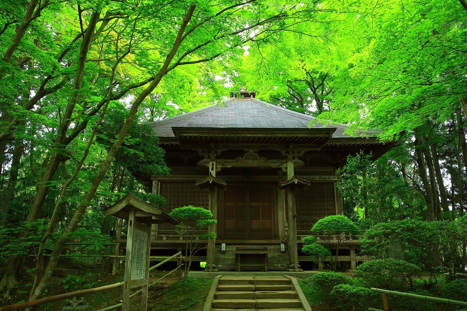 (photo) Chuson-ji Temple 5