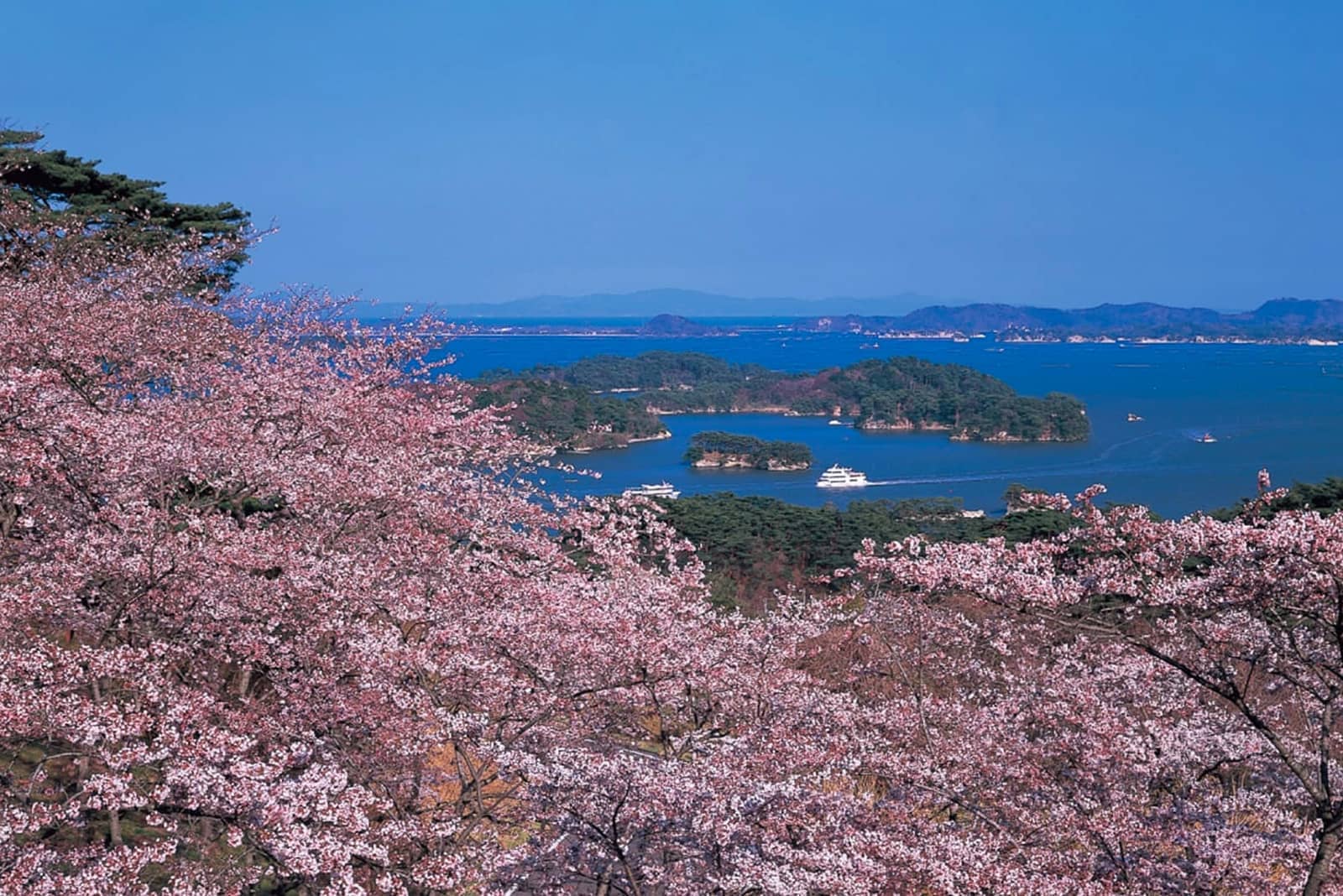 (photo) Matsushima 3
