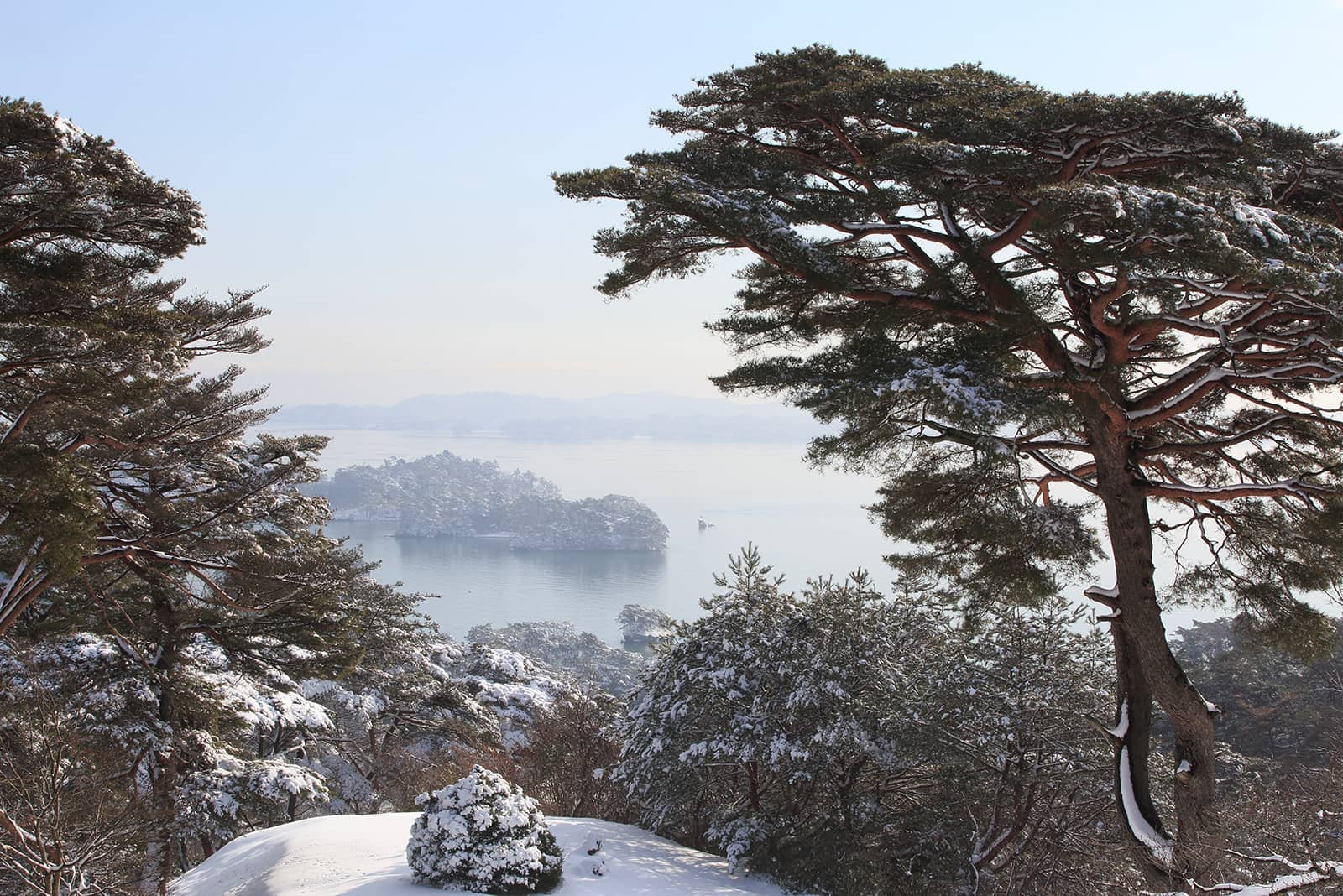 (photo) Matsushima 4