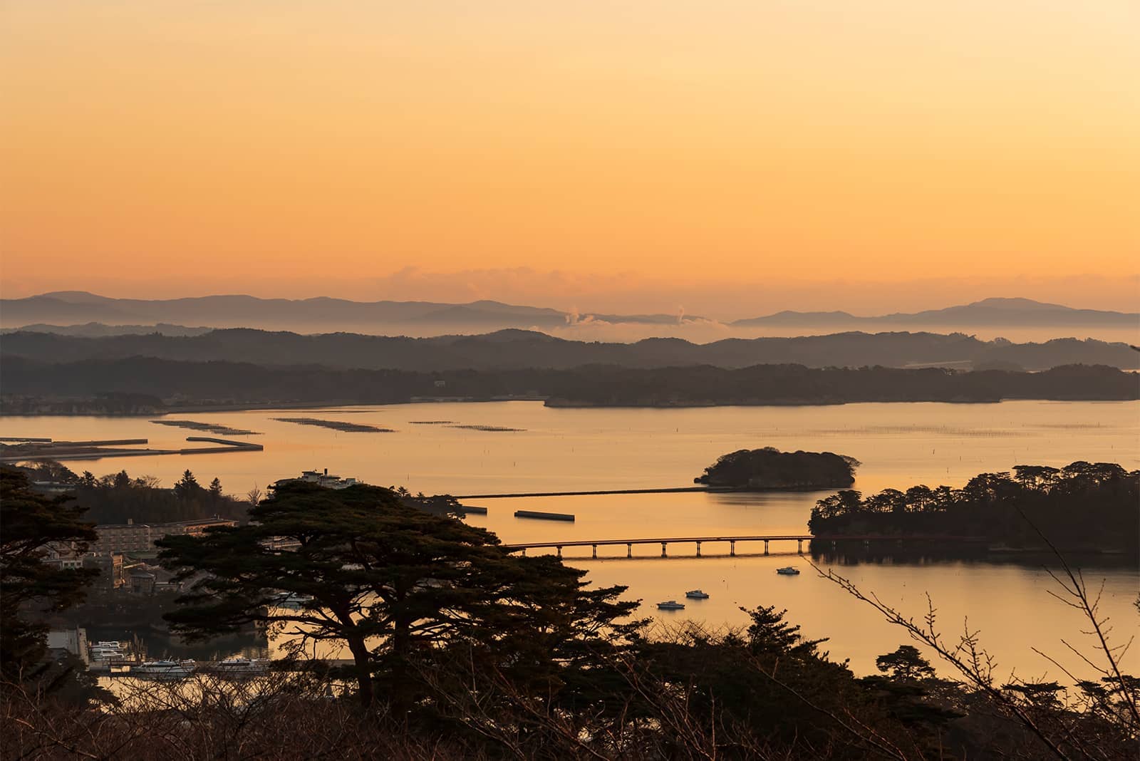 (photo) Matsushima 5