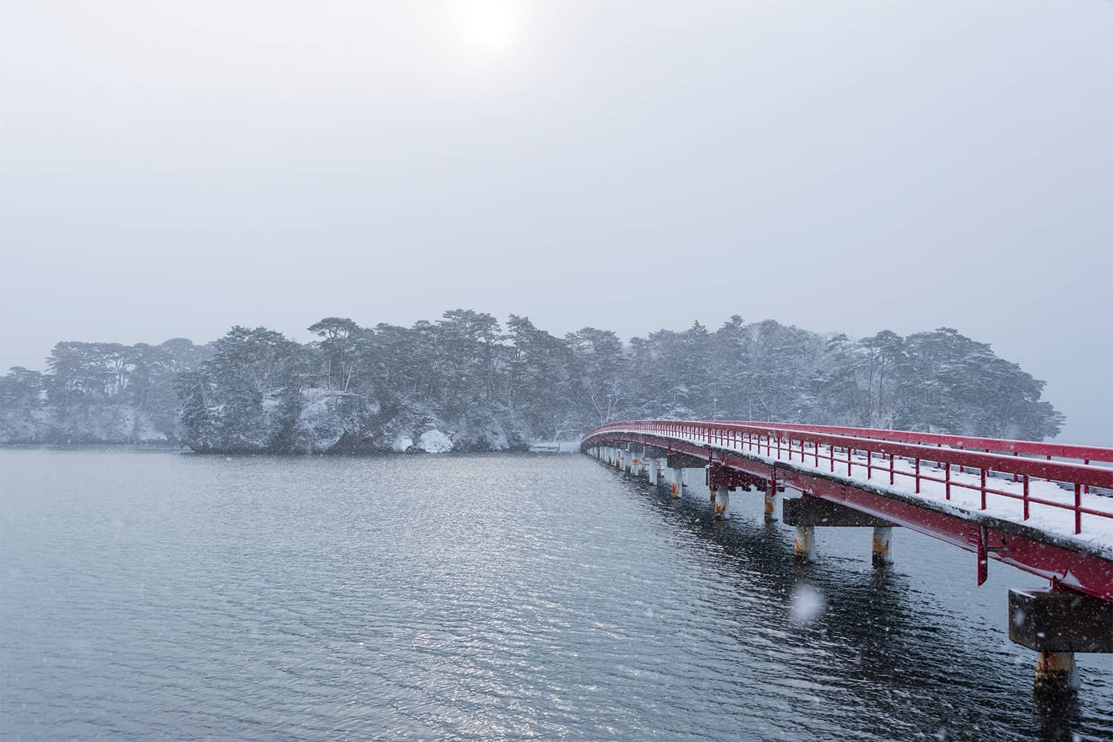 (photo) Matsushima 6