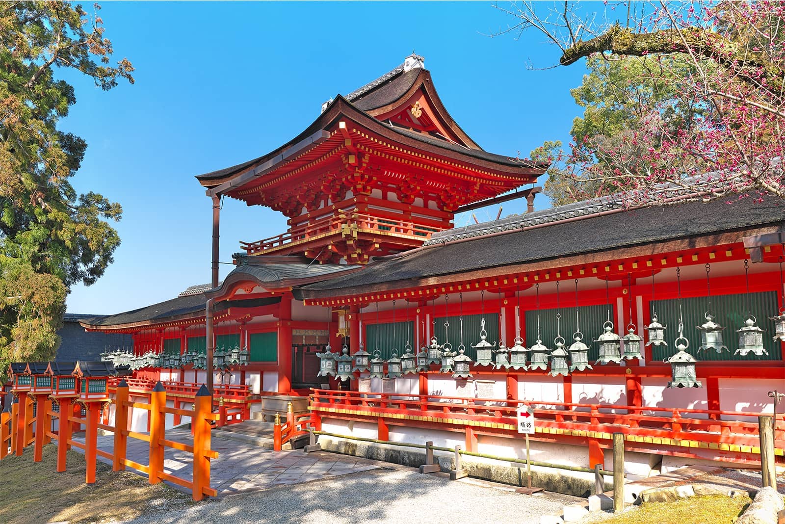 (photo) Nara 2