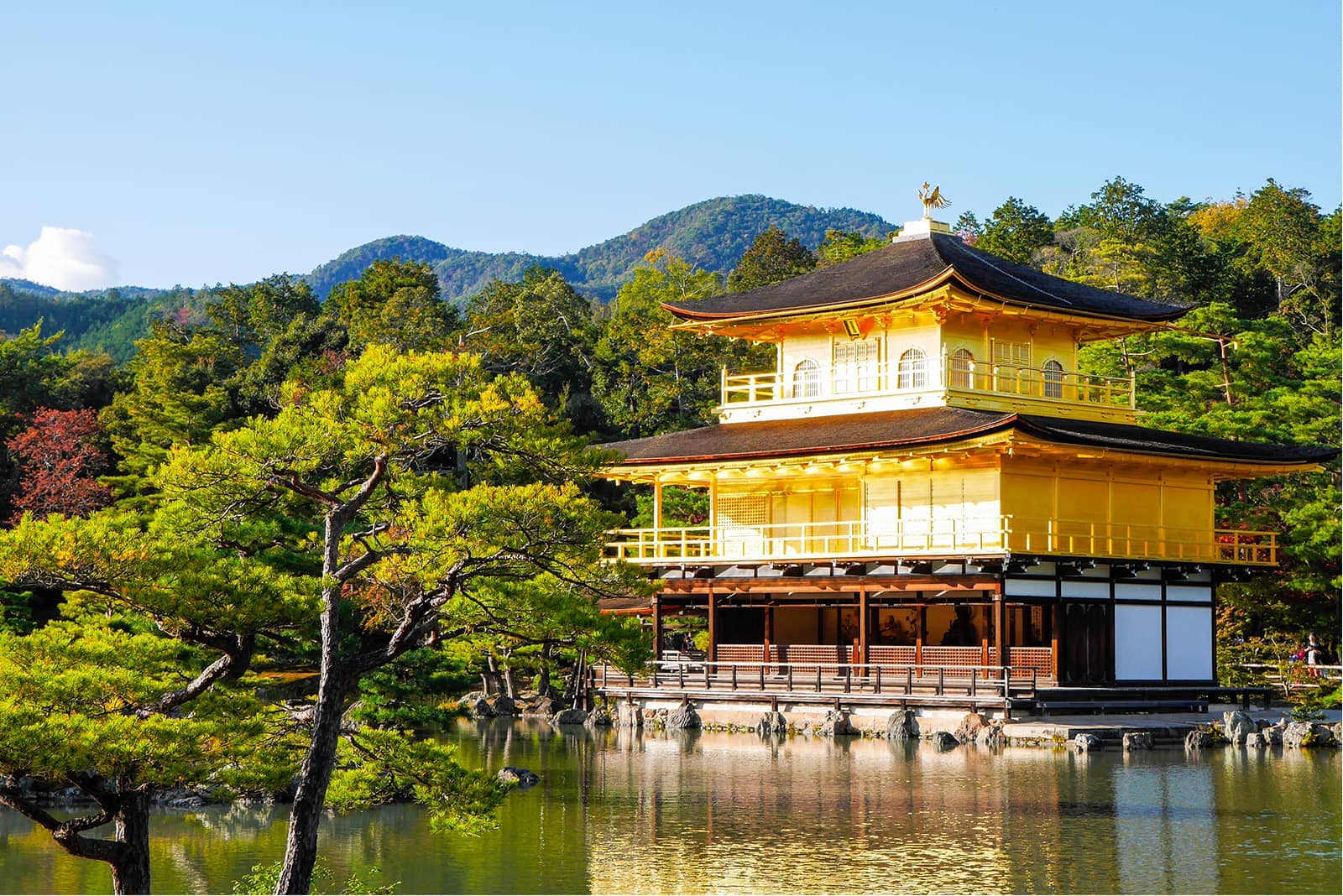(photo) Kinkaku-ji Temple 1