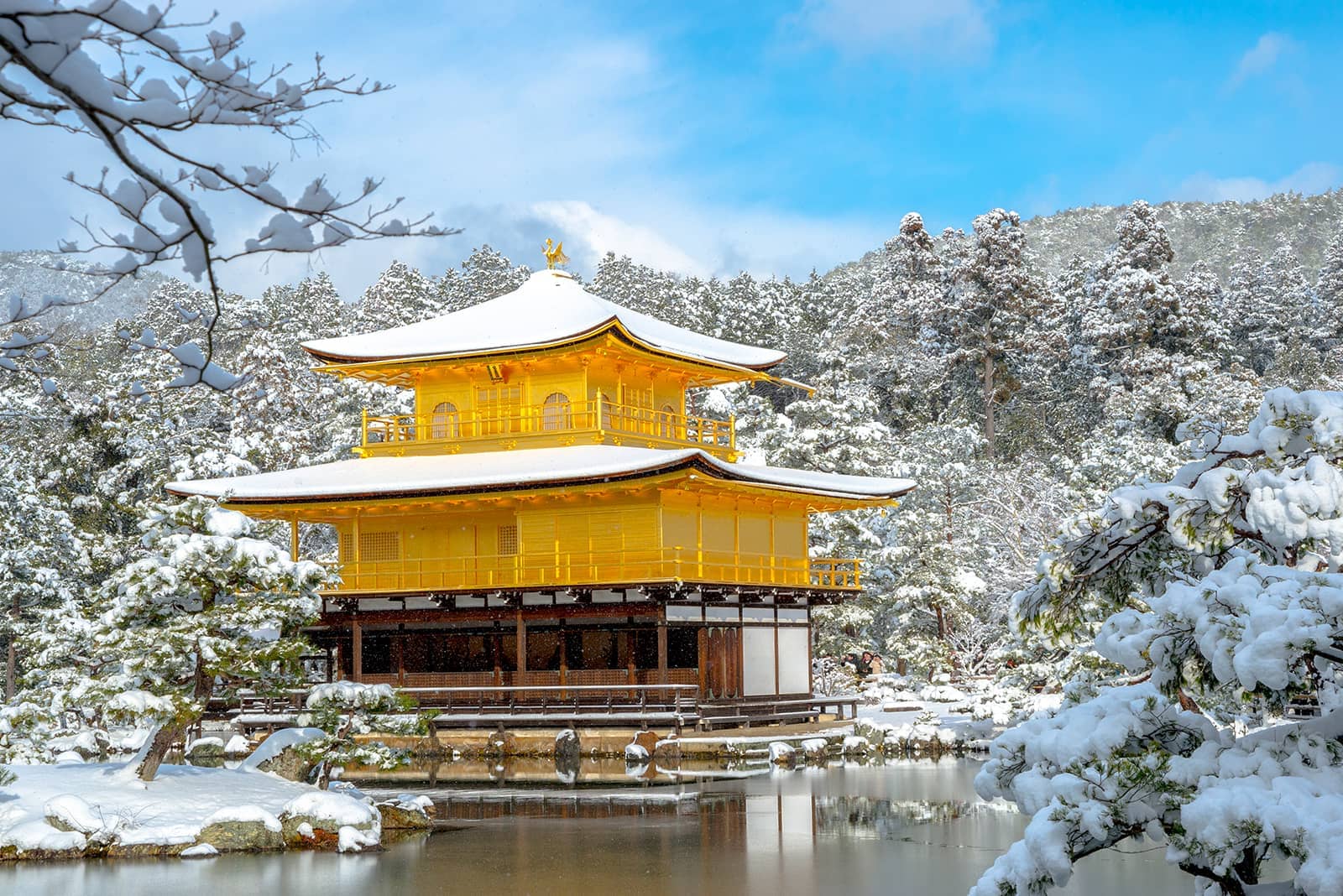 (photo) Kinkaku-ji Temple 2