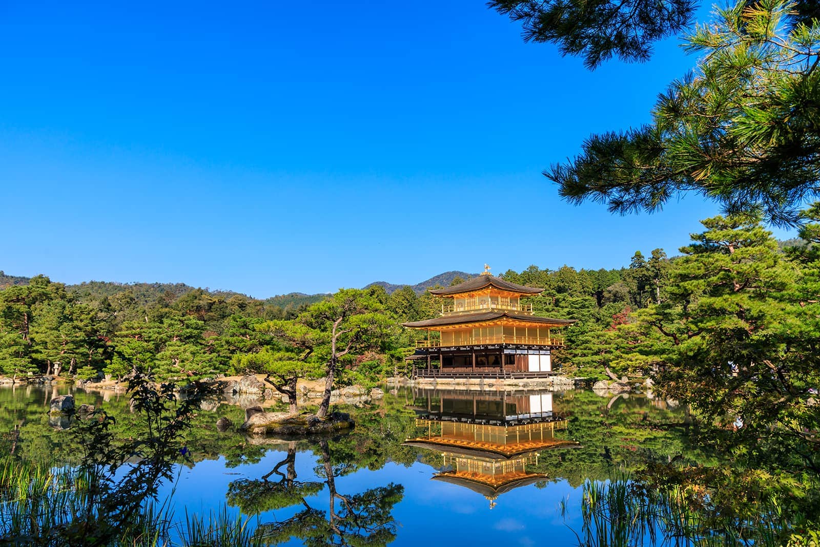 (photo) Kinkaku-ji Temple 3