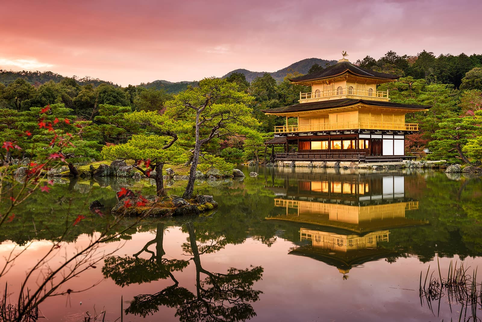 (photo) Kinkaku-ji Temple 6