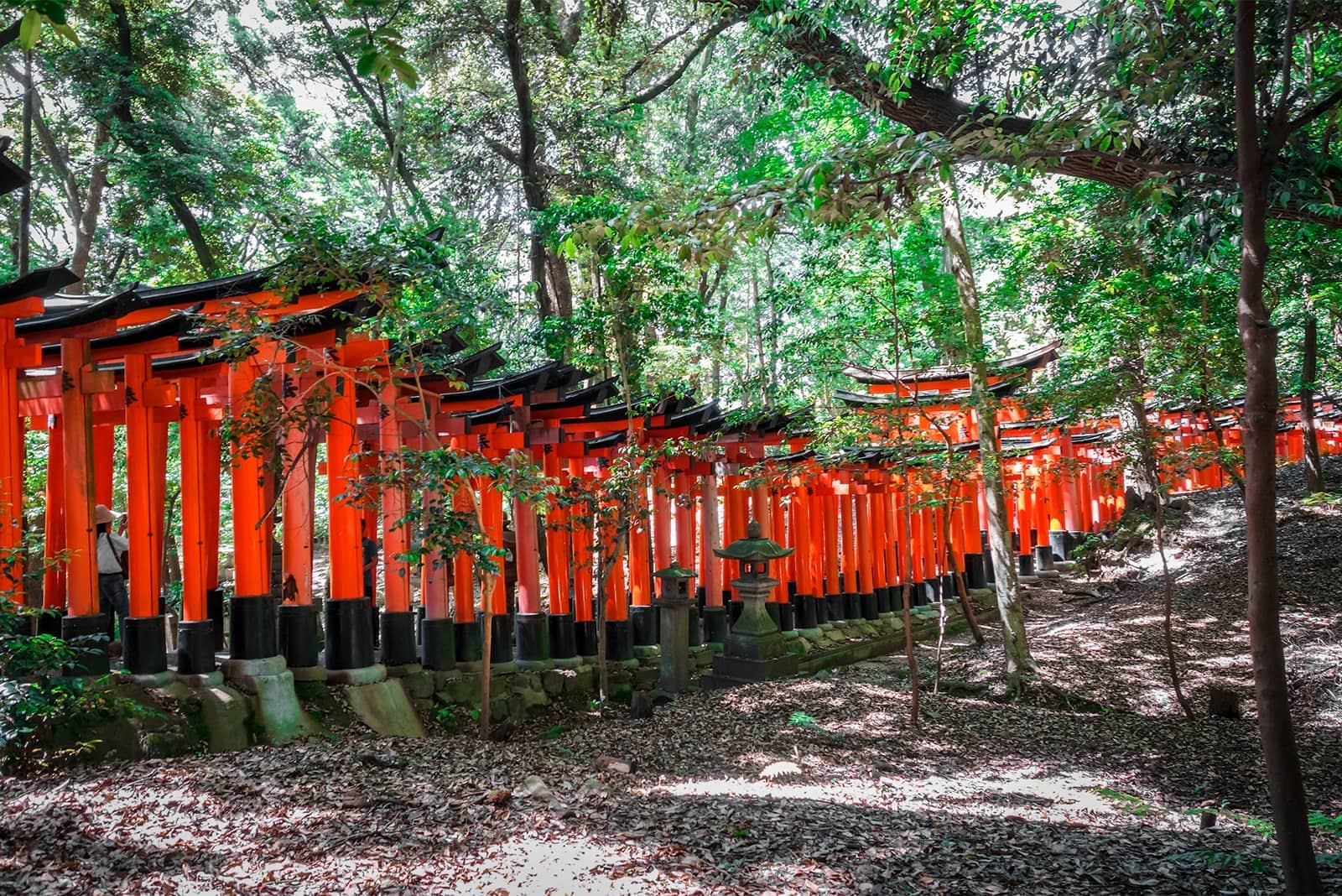 (photo) Fushimi Inari Taisha 3