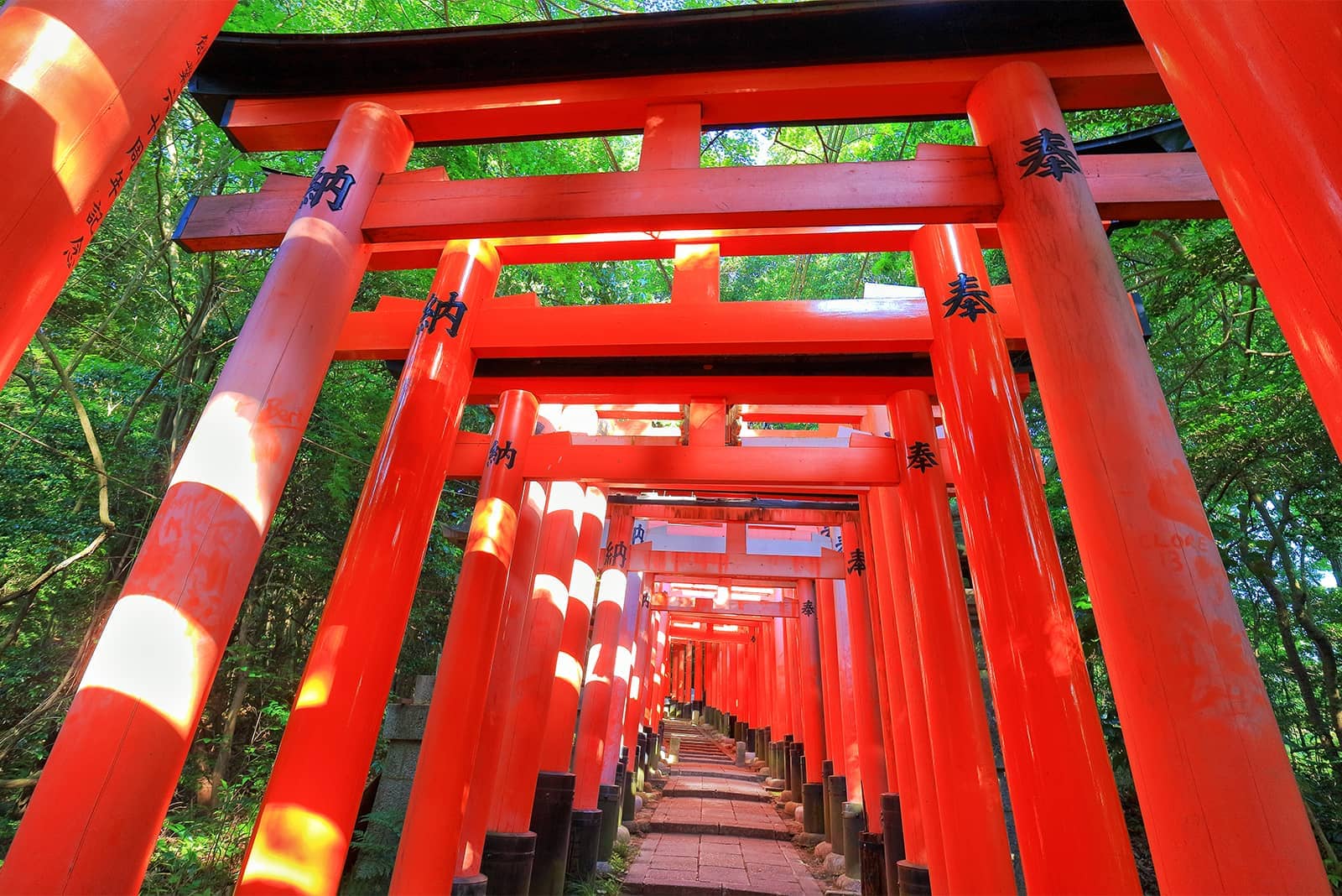 (photo) Fushimi Inari Taisha 5