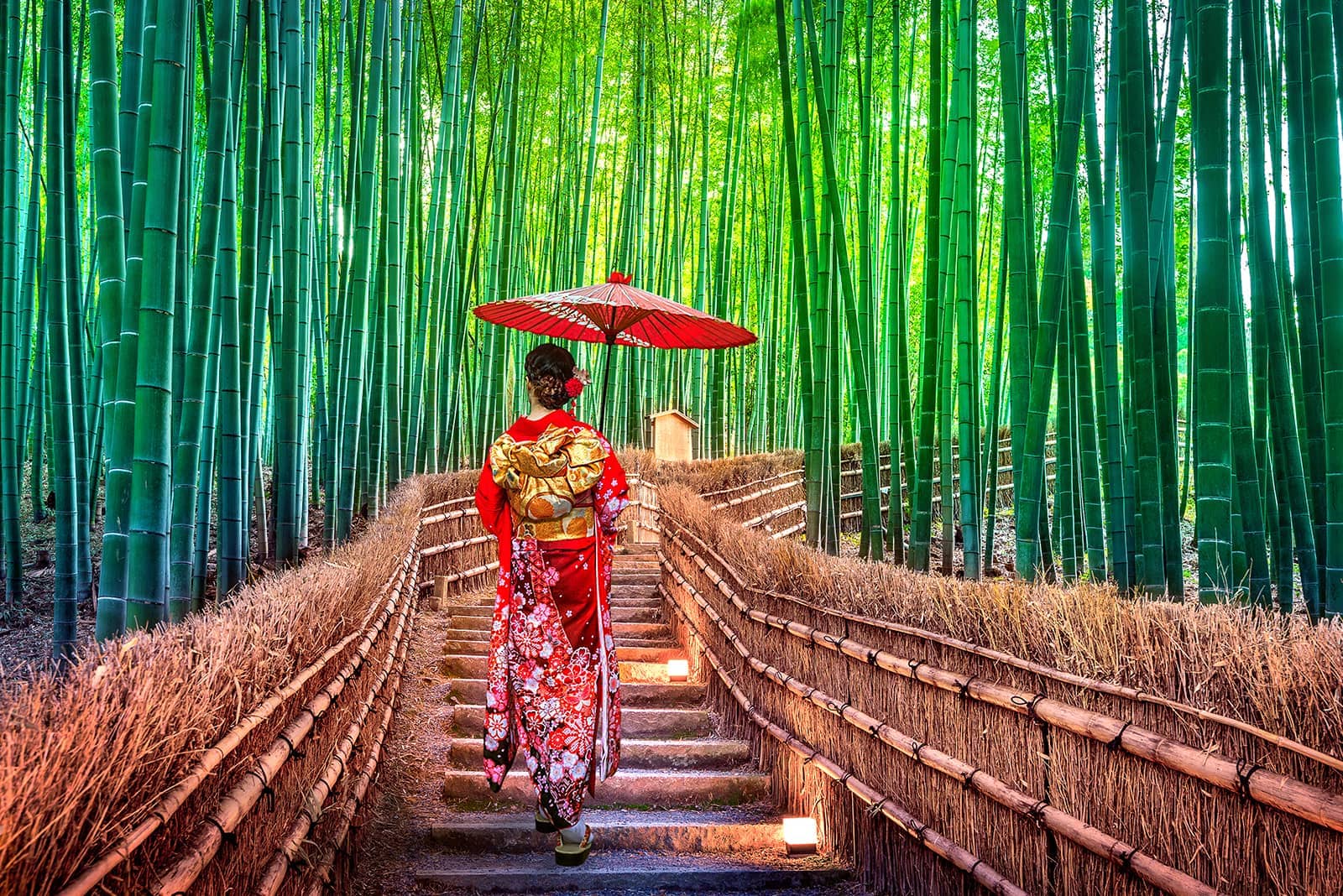 (photo) Arashiyama 2