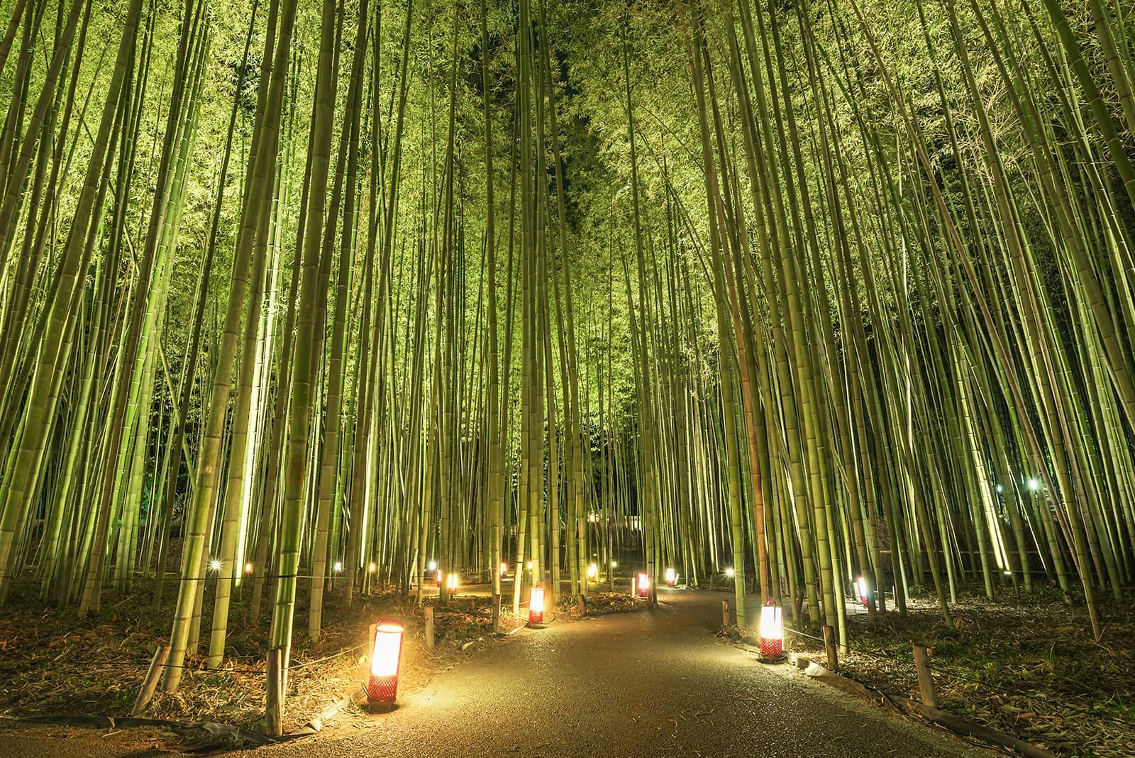 (photo) Arashiyama 5
