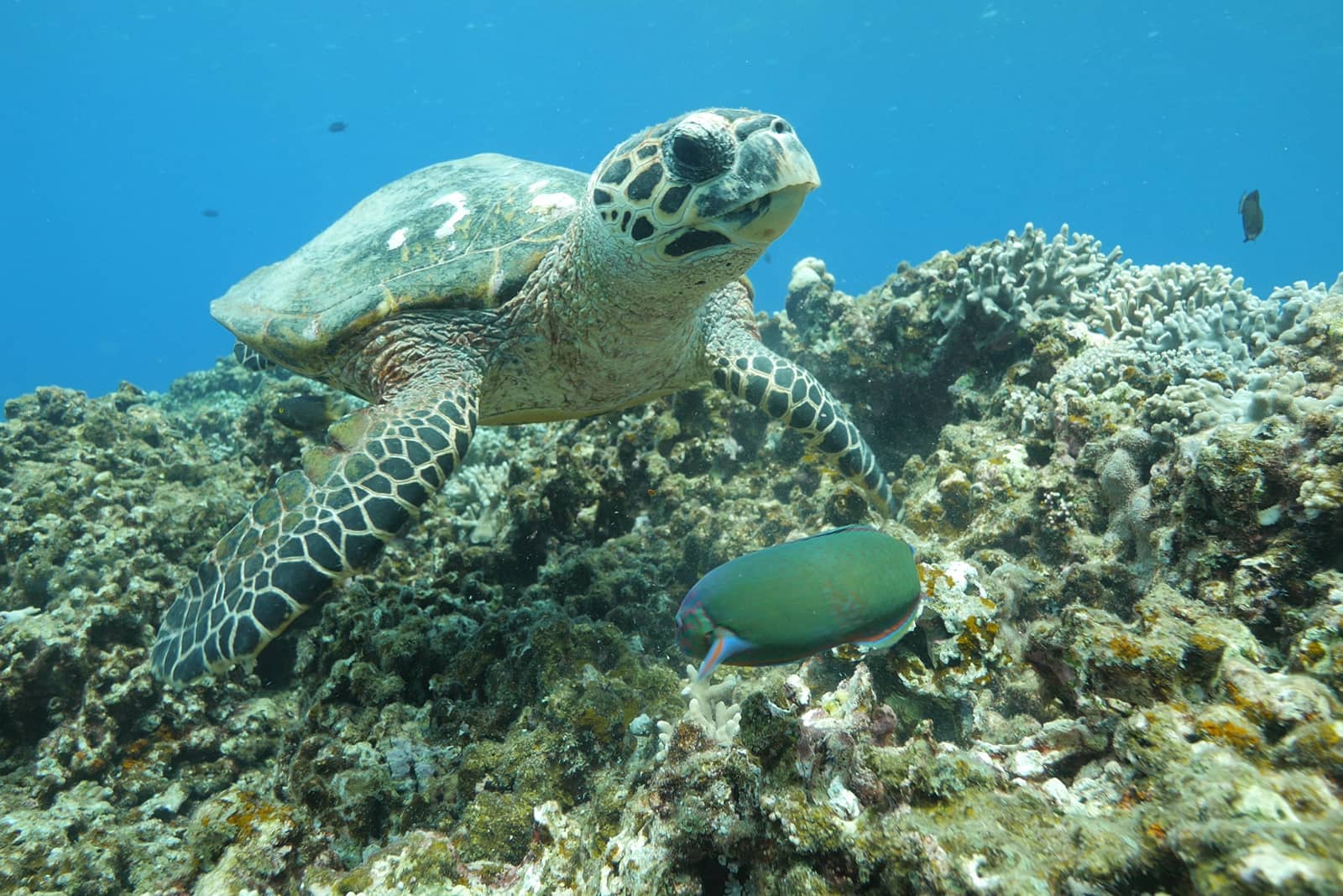 (photo) Kabira Bay 2