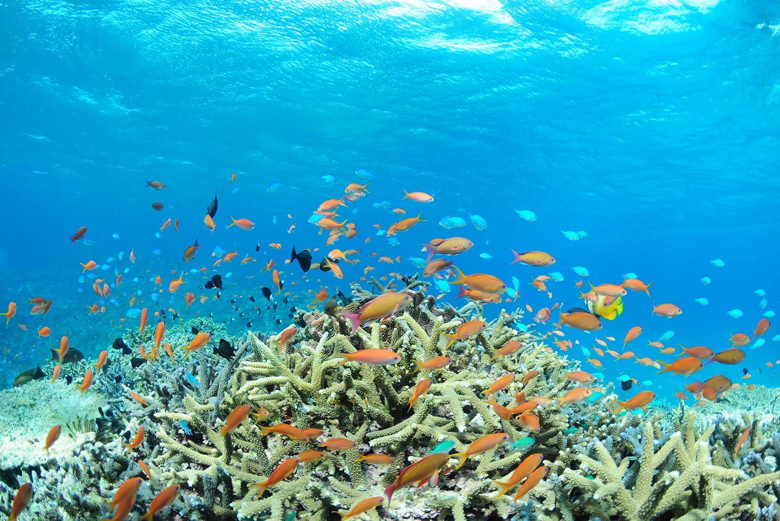 (photo) Kabira Bay 6