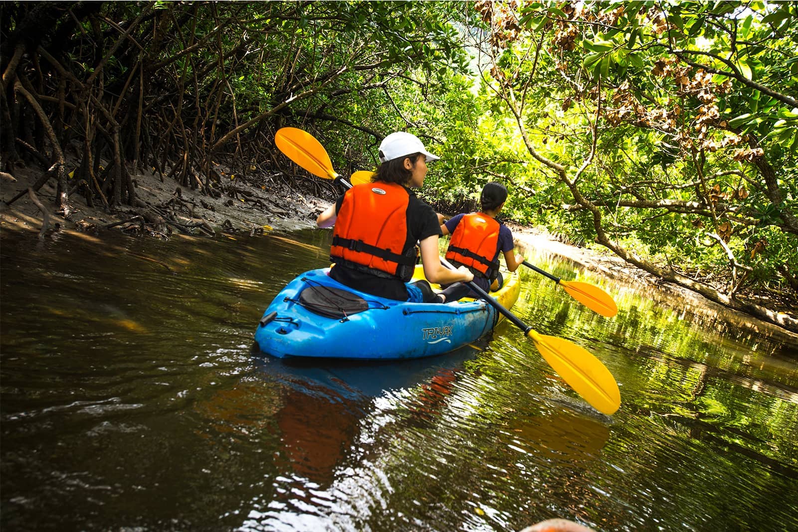 (photo) Nakama River Mangrove Cruise 2