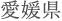 愛媛県