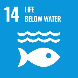 SDGs No.14 LIFE BELOW WATER