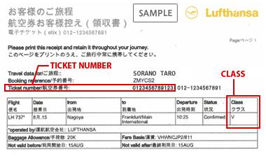The information that must be entered TICKET NUMBER, CLASS.(LH)