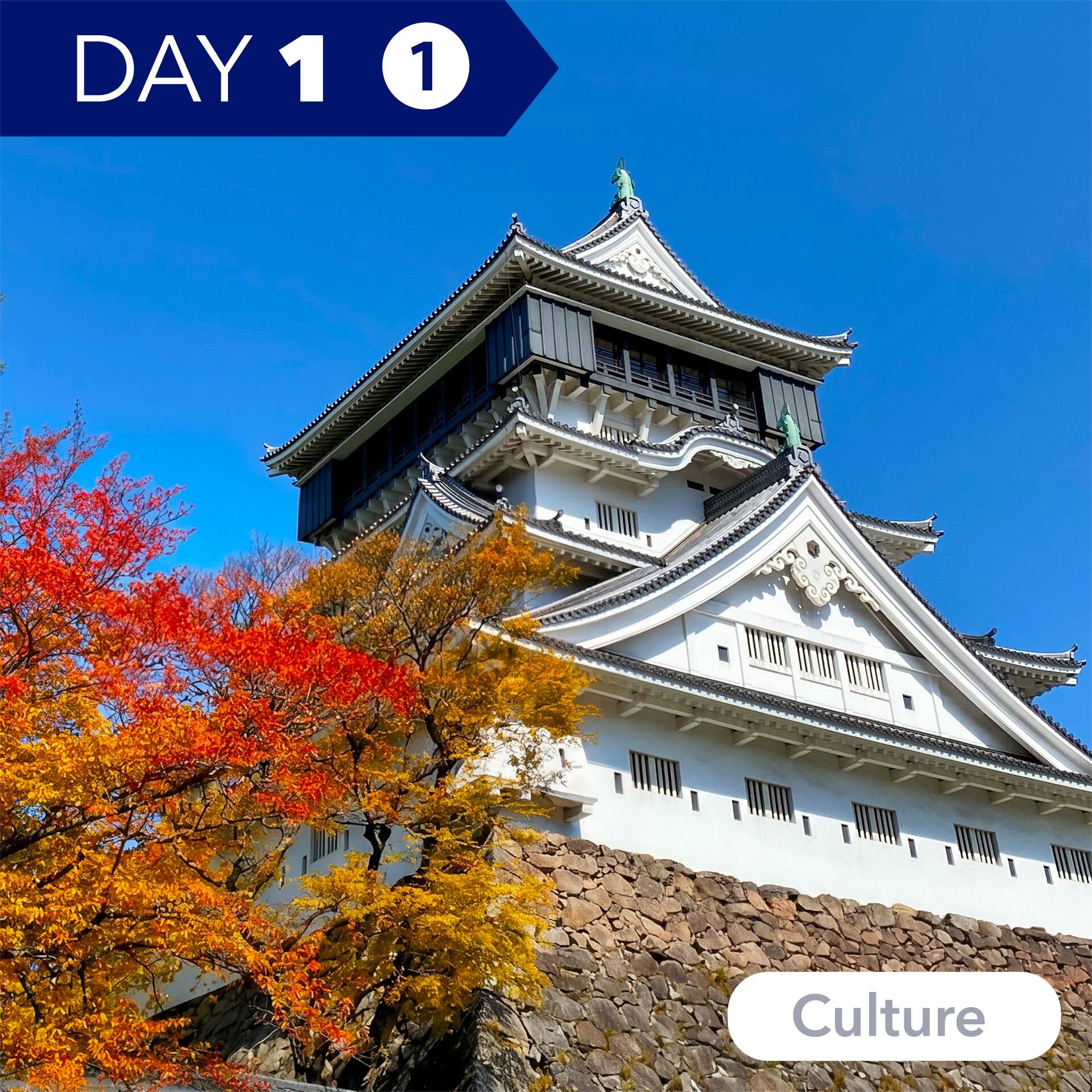 Day 1 - Activity 1