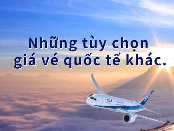 Những tùy chọn giá vé quốc tế khác.
